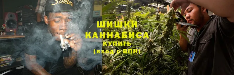 купить наркотики сайты  Нестеров  Канабис OG Kush 